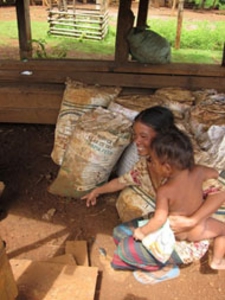 pakse3.jpg